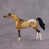 PREVIEW LISTING ONLY Hennessey OOAK Glossy Buckskin Appaloosa Arabian Chip By Dawn Quick MM24