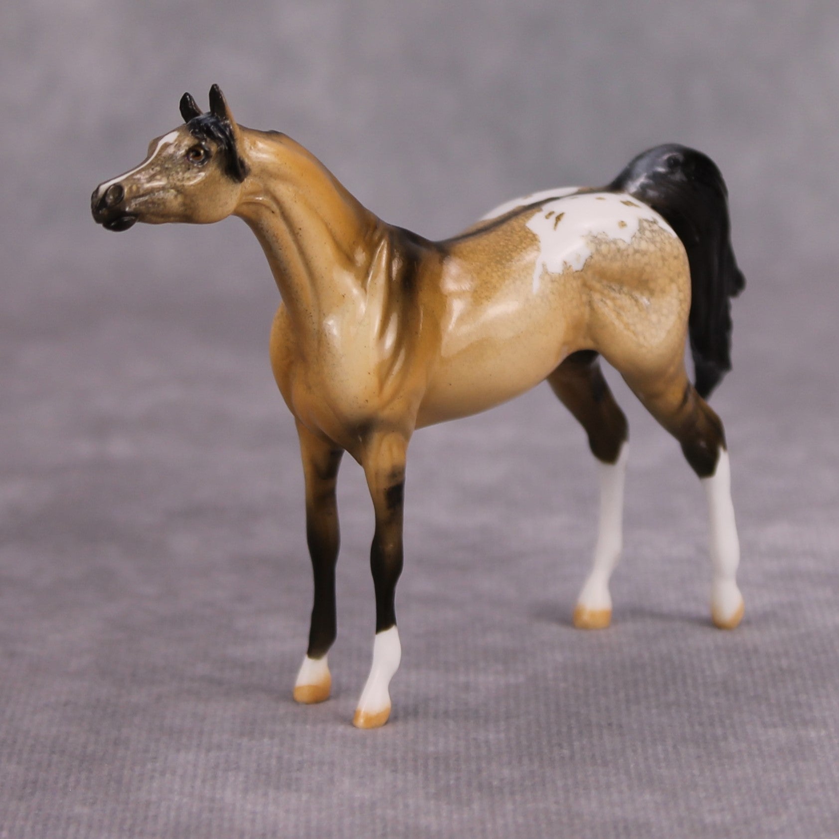 Hennessey OOAK Glossy Buckskin Appaloosa Arabian Chip By Dawn Quick MM24