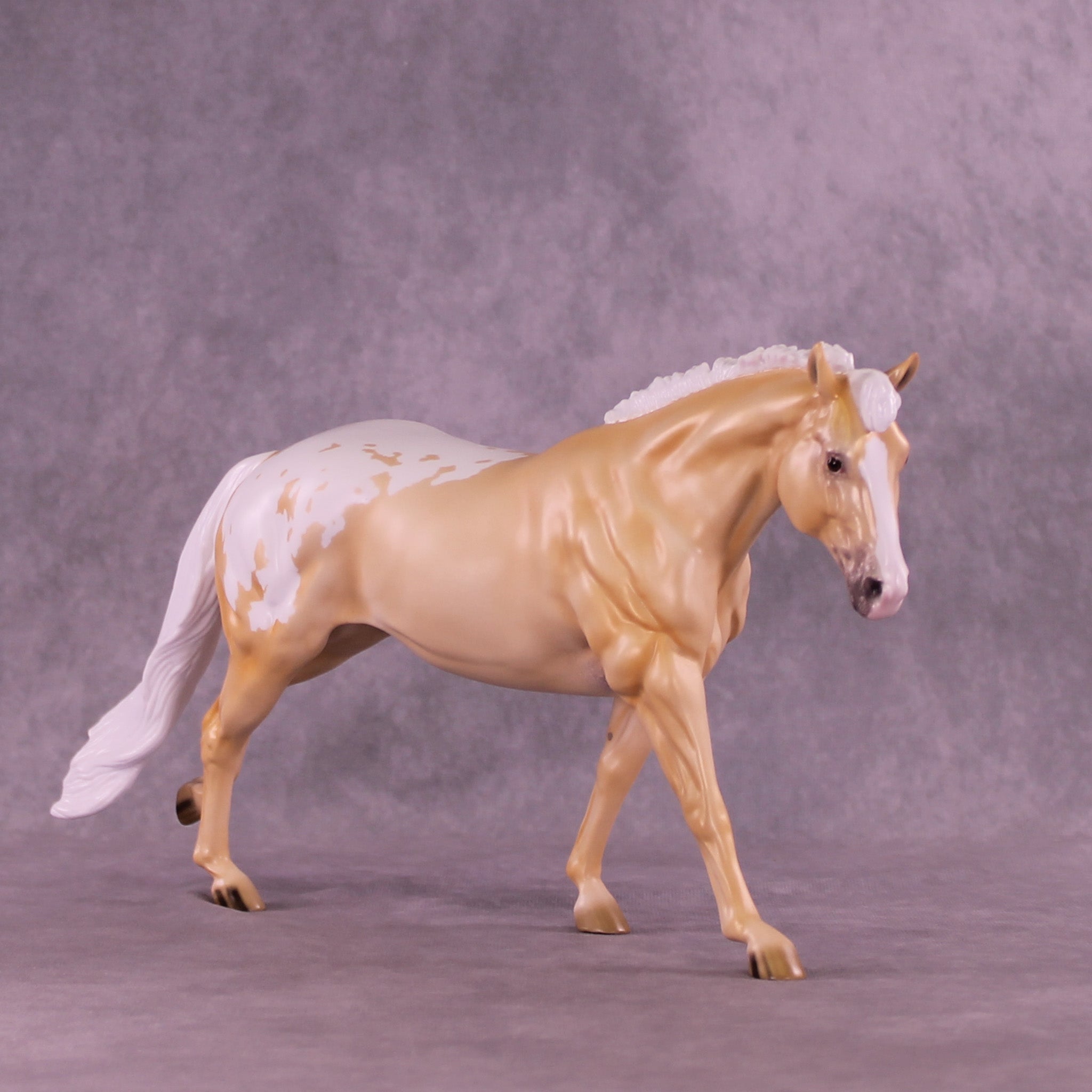 Shy by Day LE-20 FCM Remington by Ellen Robbins TS26