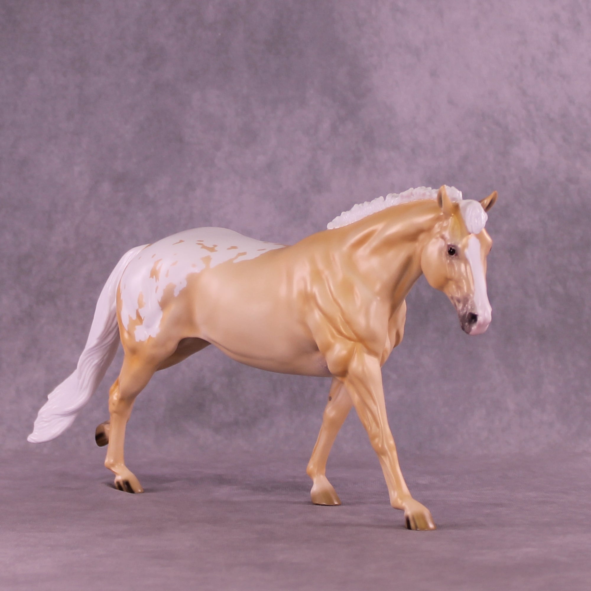 Shy by Day LE-20 FCM Remington by Ellen Robbins TS26