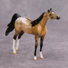 PREVIEW LISTING ONLY Hennessey OOAK Glossy Buckskin Appaloosa Arabian Chip By Dawn Quick MM24