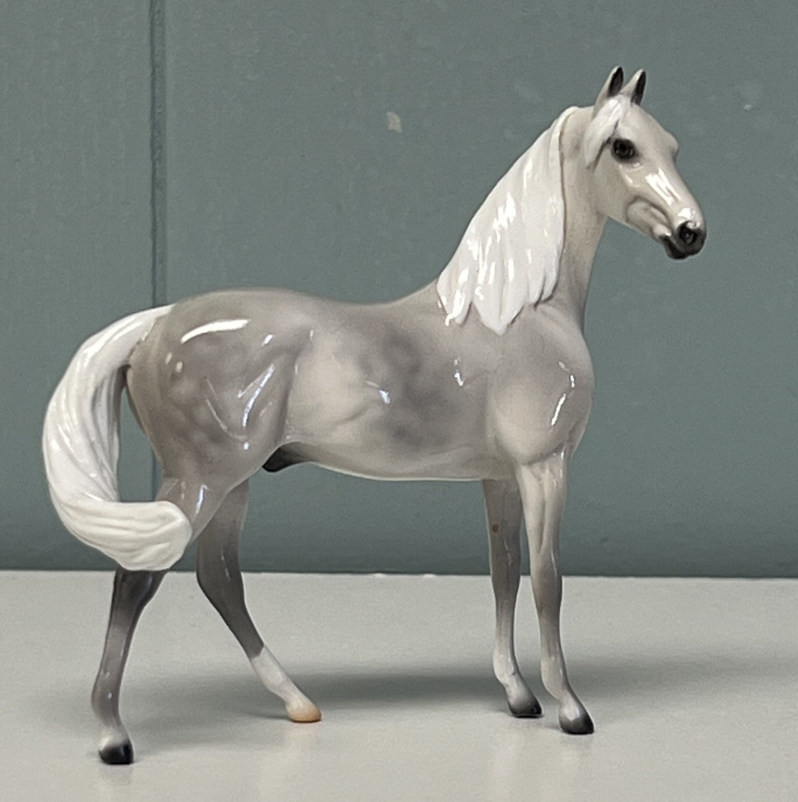 Shelburne Chip Throwback Custom Morgan Chip - SAMPLE & OOAK SALE APRIL 2024 SS424