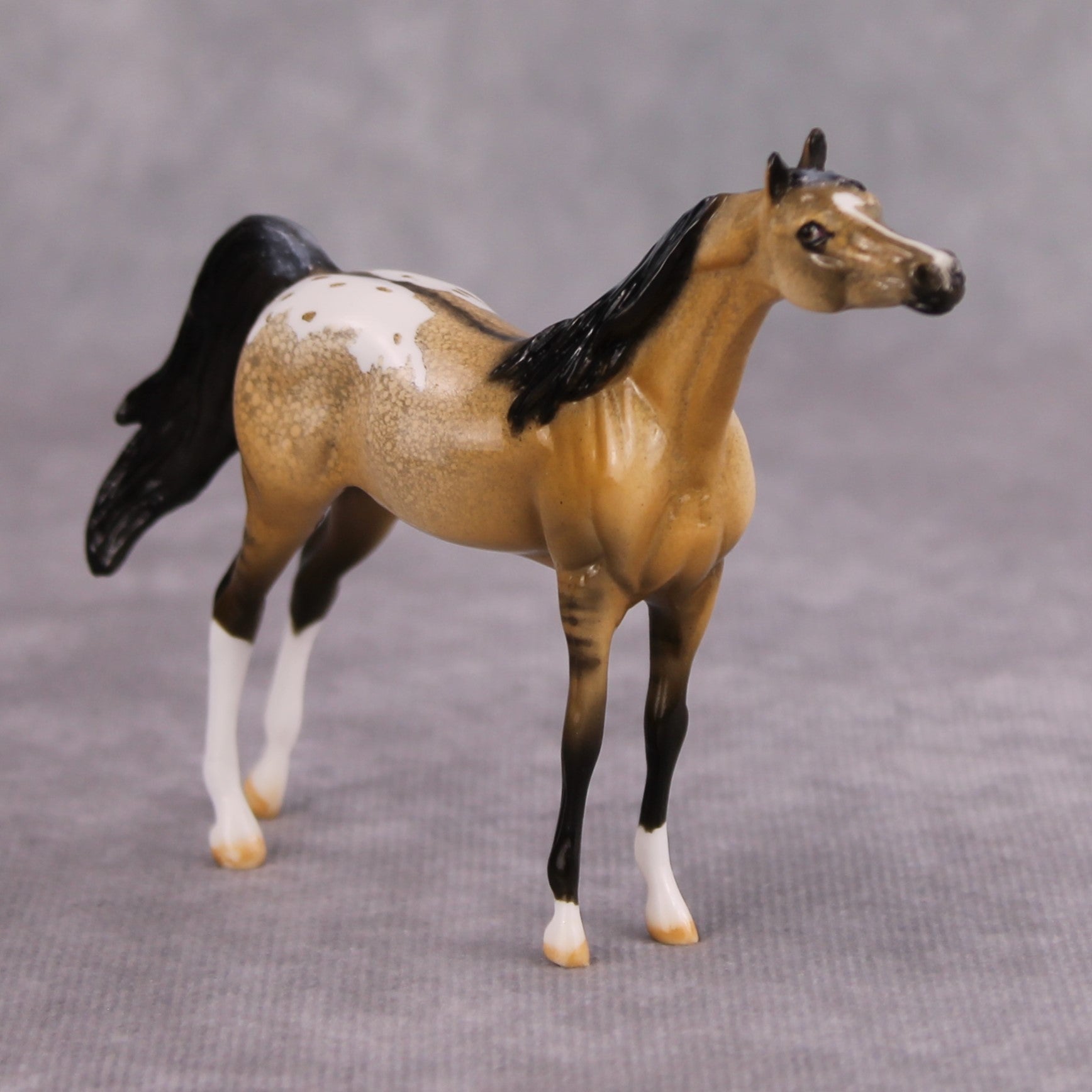 Hennessey OOAK Glossy Buckskin Appaloosa Arabian Chip By Dawn Quick MM24