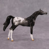 PREVIEW LISTING ONLY Cassis OOAK Glossy Black Roan Appaloosa Arabian Chip By Dawn Quick MM24