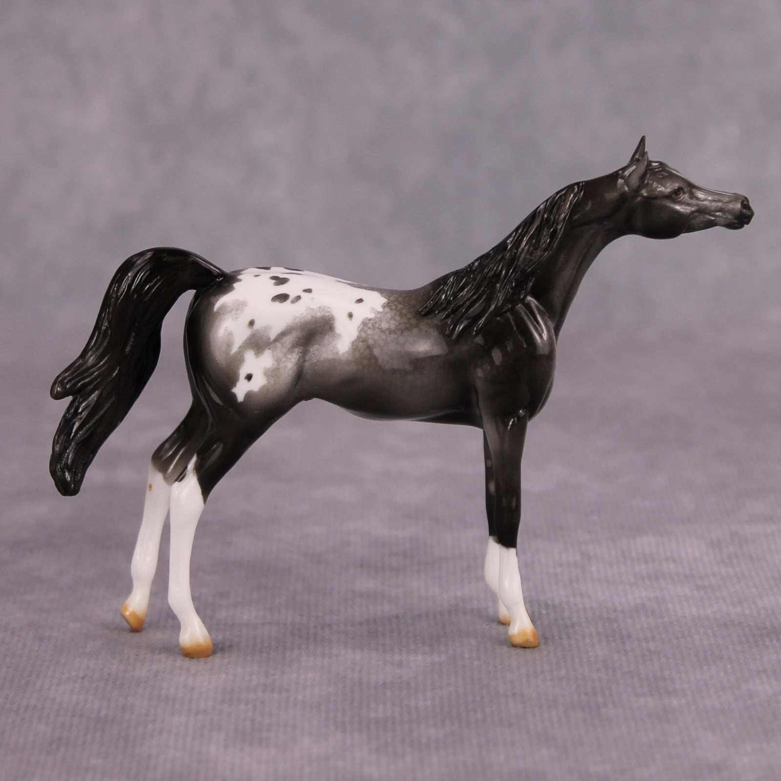 Cassis OOAK Glossy Black Roan Appaloosa Arabian Chip By Dawn Quick MM24