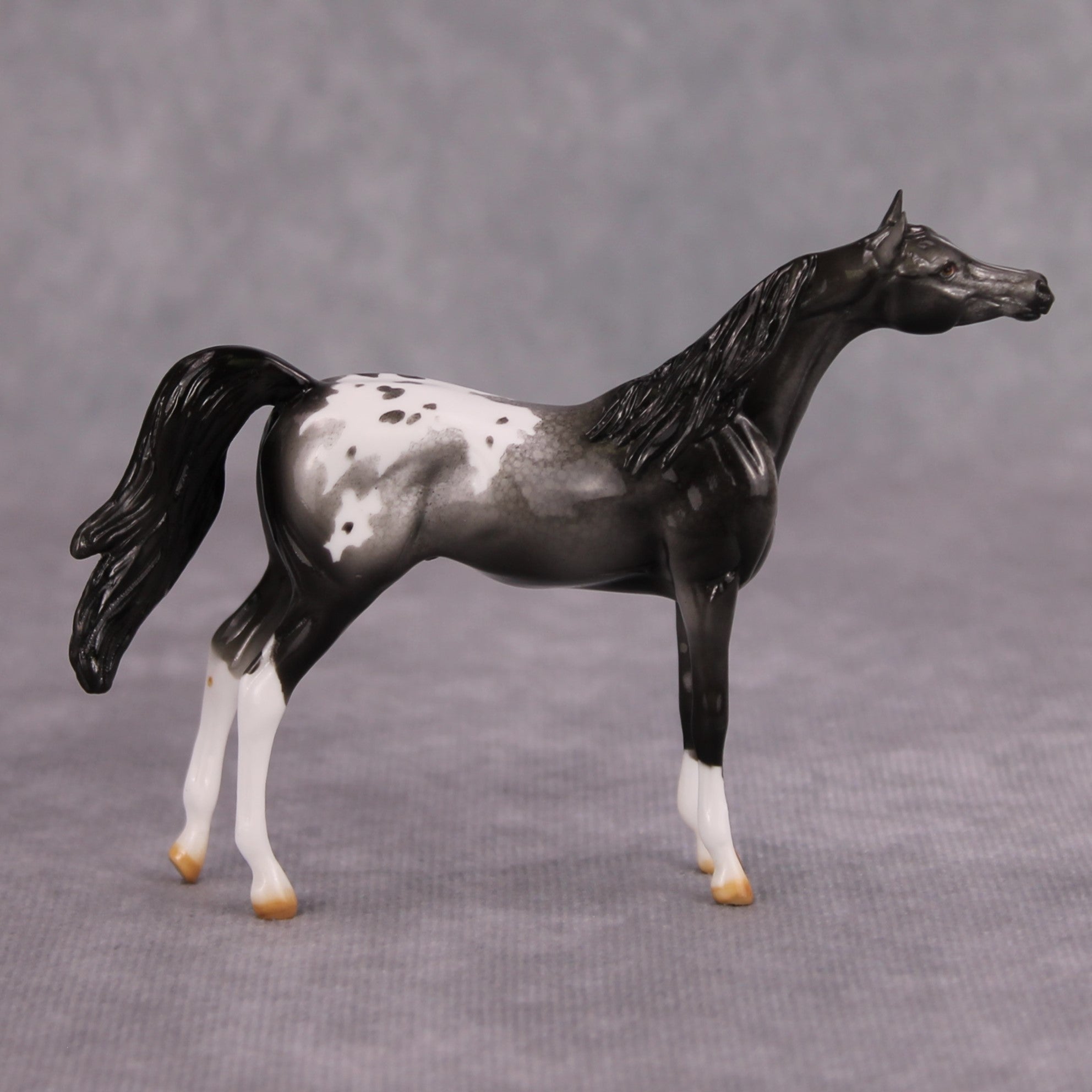 Cassis OOAK Glossy Black Roan Appaloosa Arabian Chip By Dawn Quick MM24