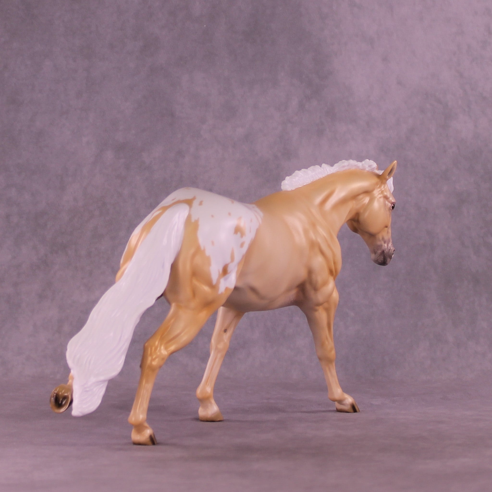 Shy by Day LE-20 FCM Remington by Ellen Robbins TS26