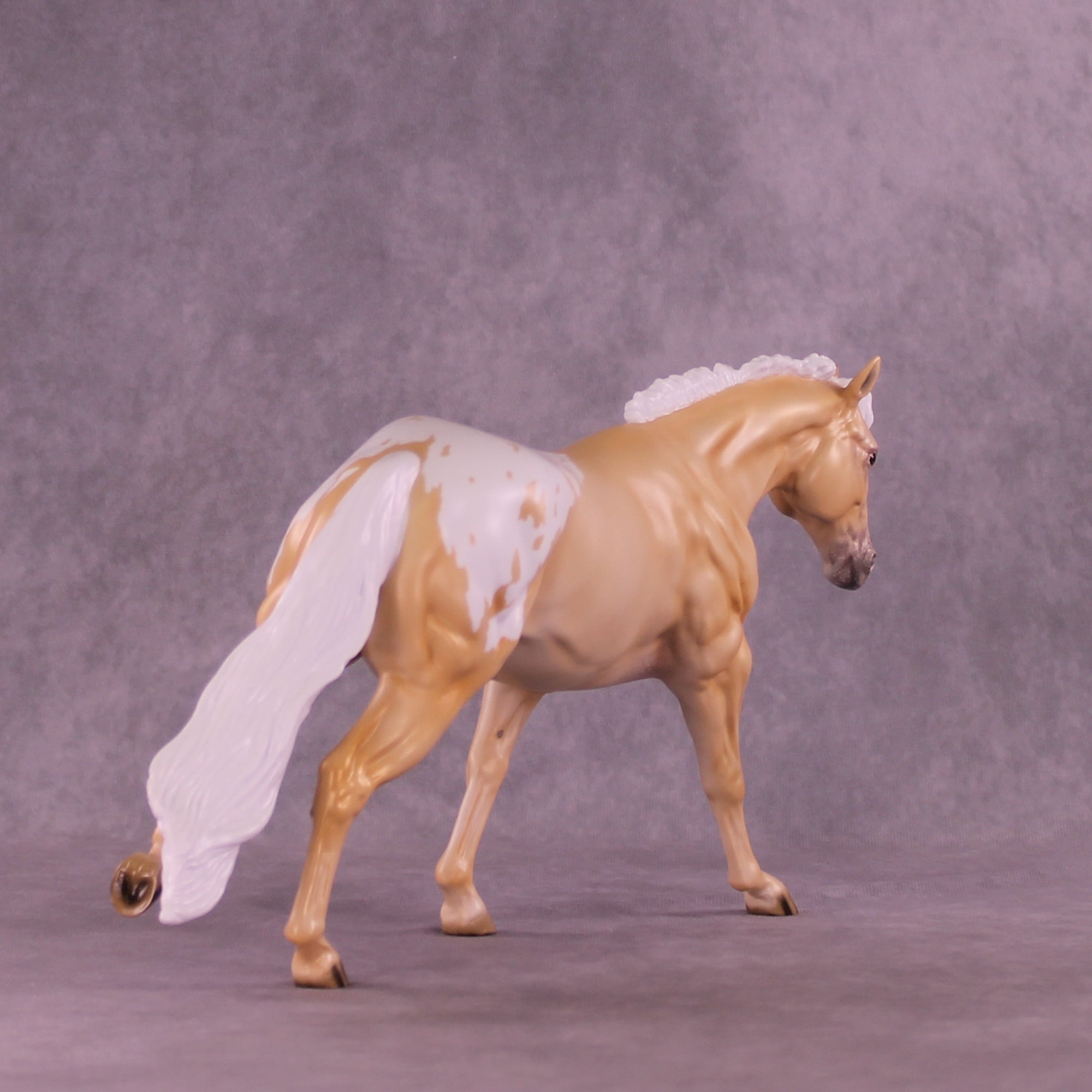 Shy by Day LE-20 FCM Remington by Ellen Robbins TS26