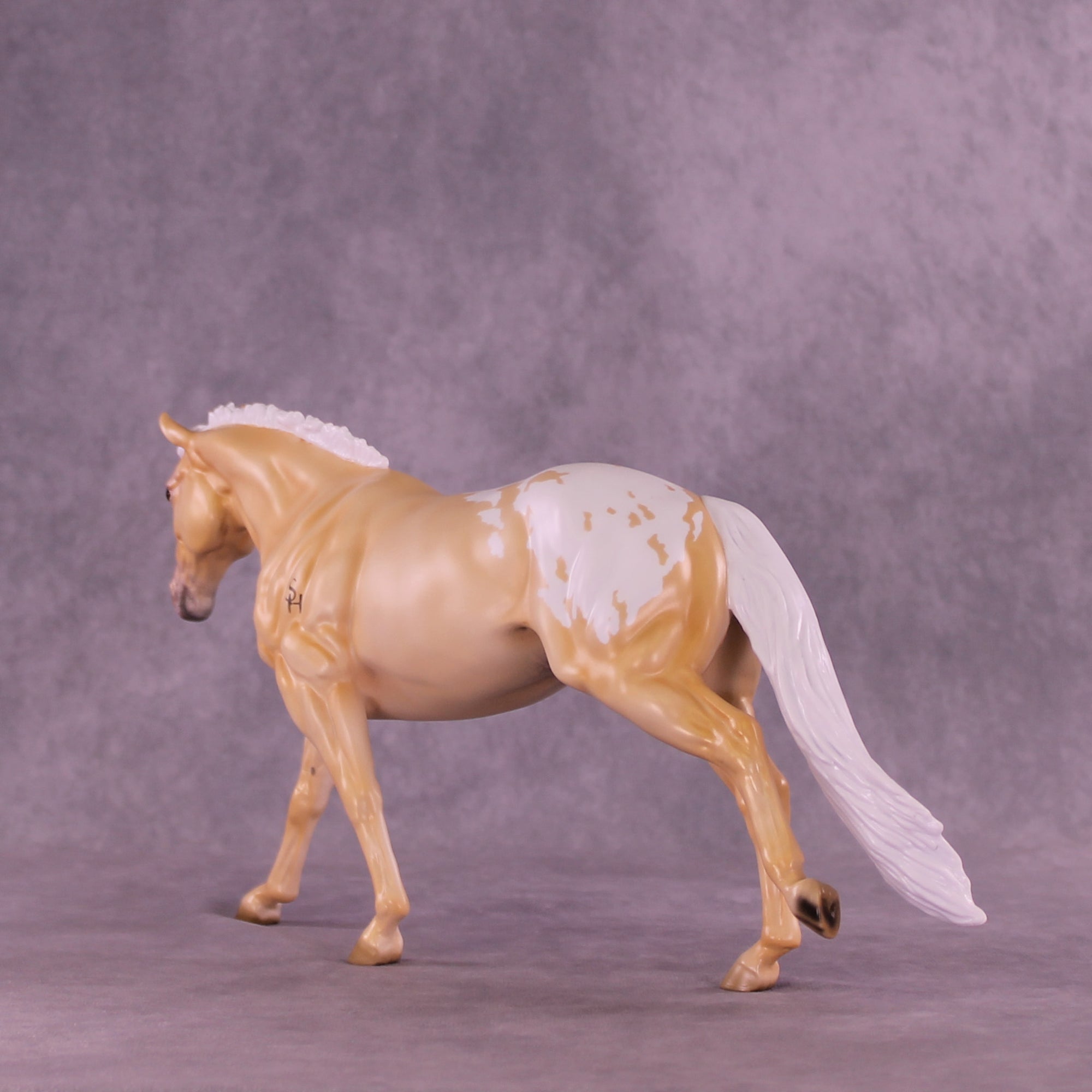 Shy by Day LE-20 FCM Remington by Ellen Robbins TS26