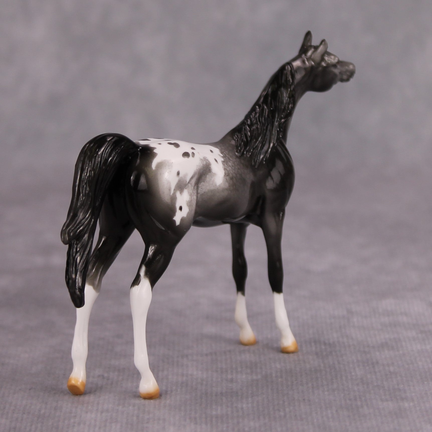Cassis OOAK Glossy Black Roan Appaloosa Arabian Chip By Dawn Quick MM24