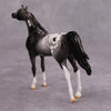 PREVIEW LISTING ONLY Cassis OOAK Glossy Black Roan Appaloosa Arabian Chip By Dawn Quick MM24