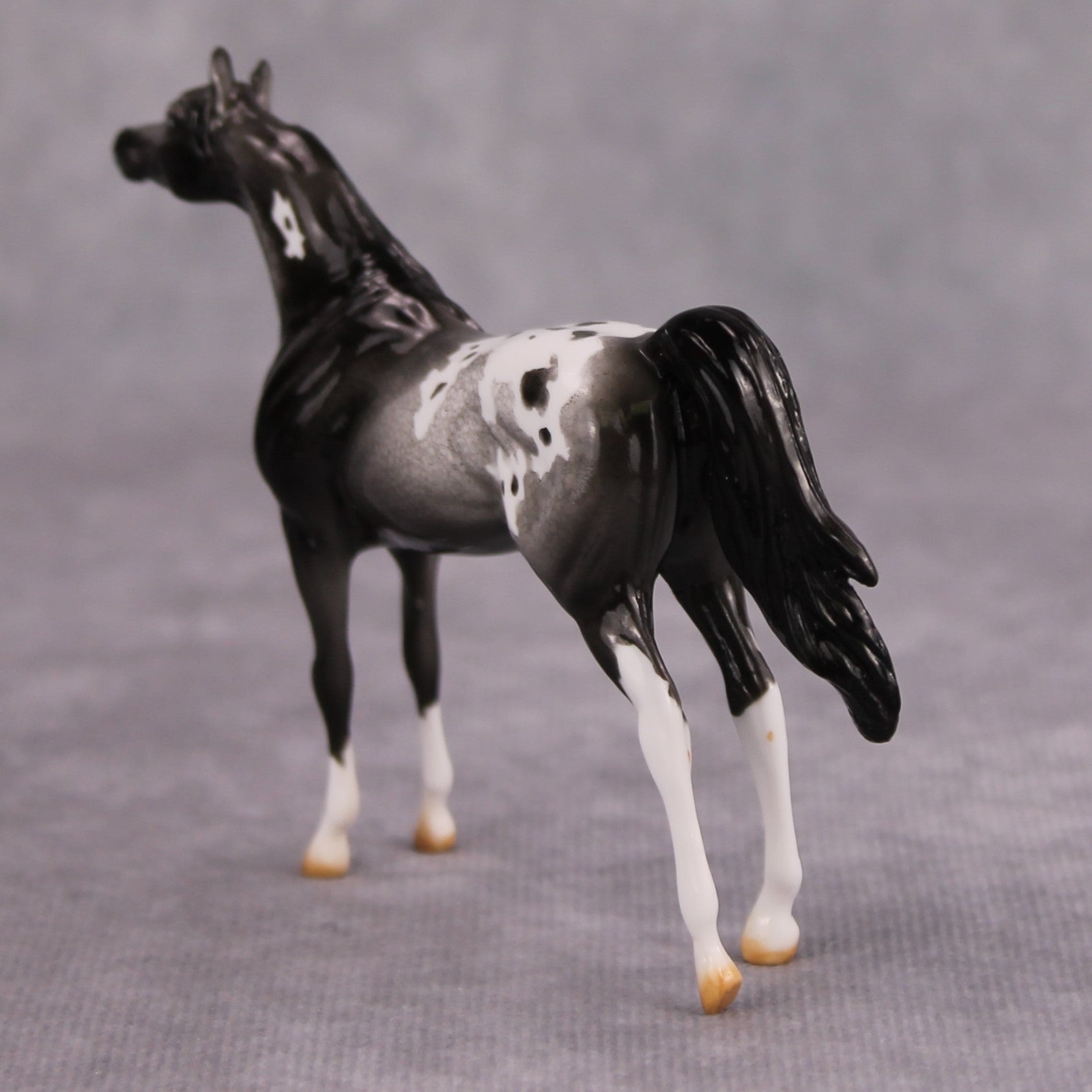 Cassis OOAK Glossy Black Roan Appaloosa Arabian Chip By Dawn Quick MM24