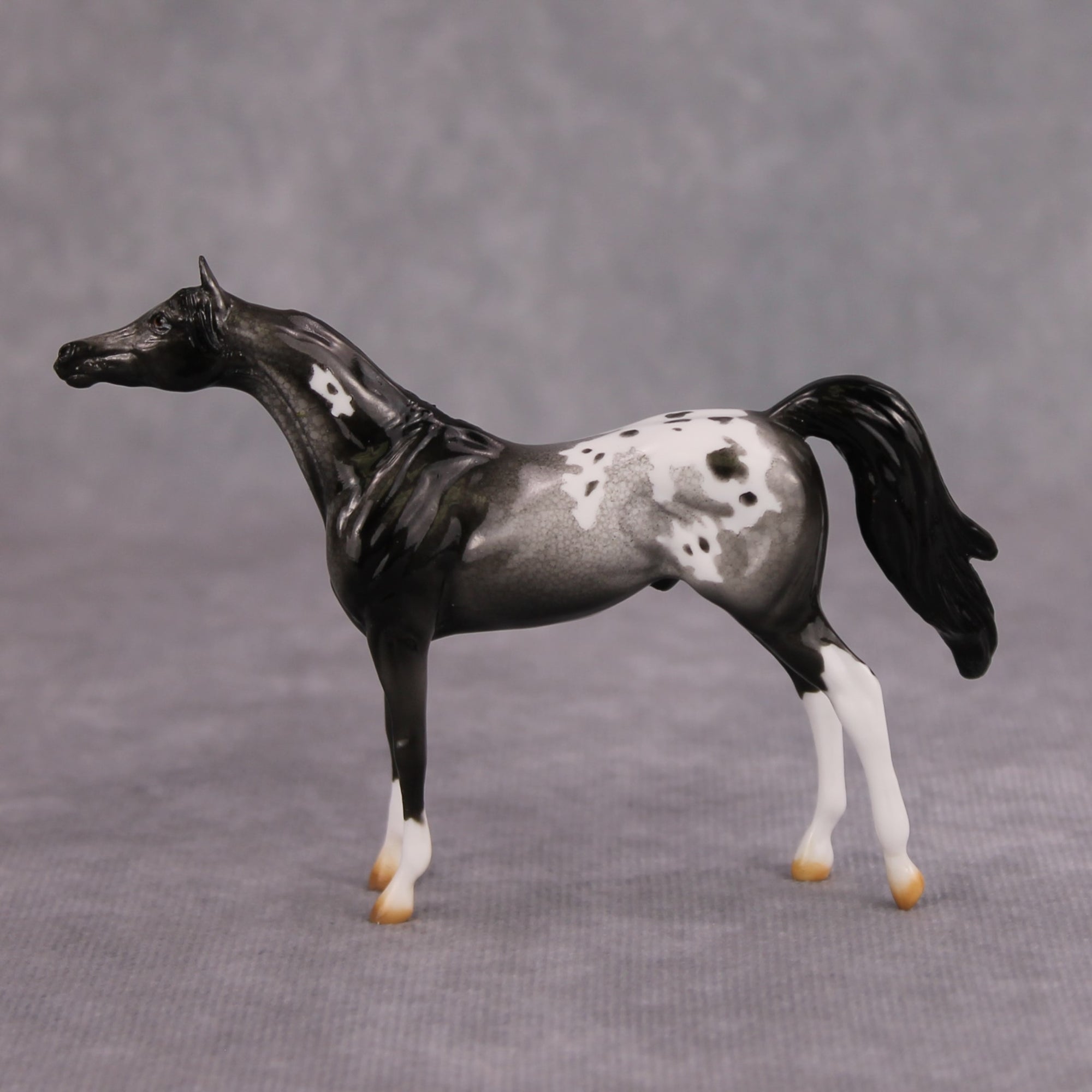 Cassis OOAK Glossy Black Roan Appaloosa Arabian Chip By Dawn Quick MM24