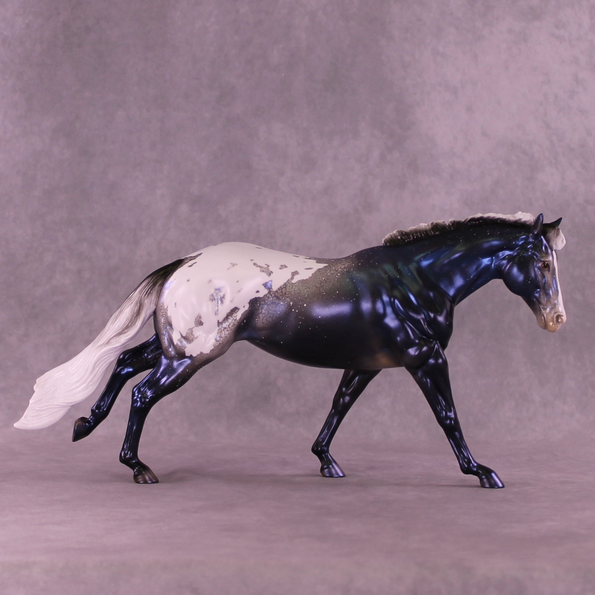 Sky by Night LE-20 FCM Remington by Ellen Robbins TS26