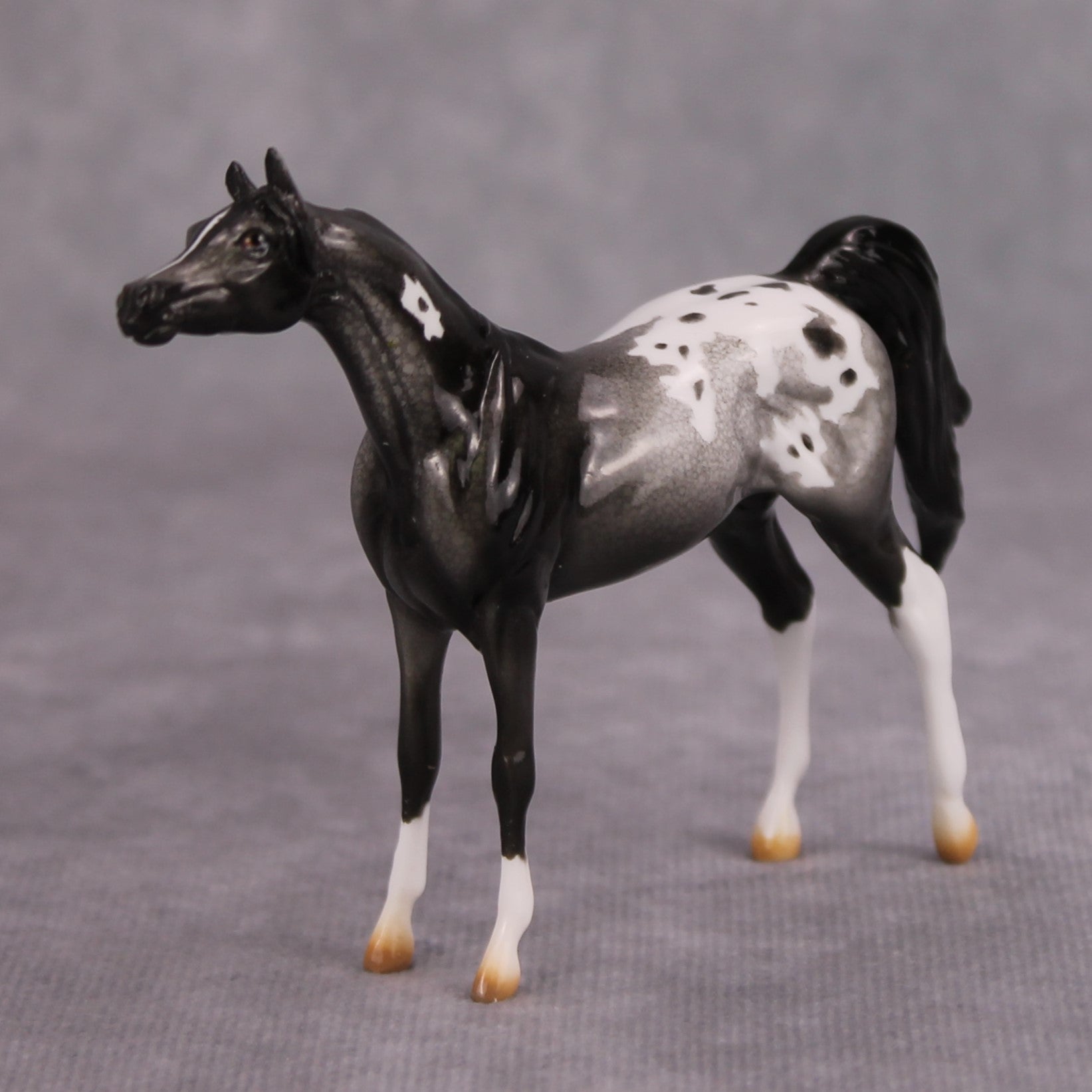 Cassis OOAK Glossy Black Roan Appaloosa Arabian Chip By Dawn Quick MM24