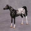 PREVIEW LISTING ONLY Cassis OOAK Glossy Black Roan Appaloosa Arabian Chip By Dawn Quick MM24