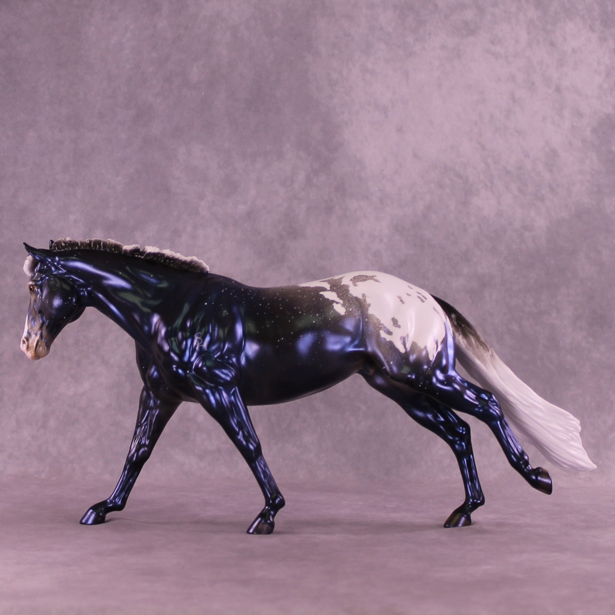 Sky by Night LE-20 FCM Remington by Ellen Robbins TS26