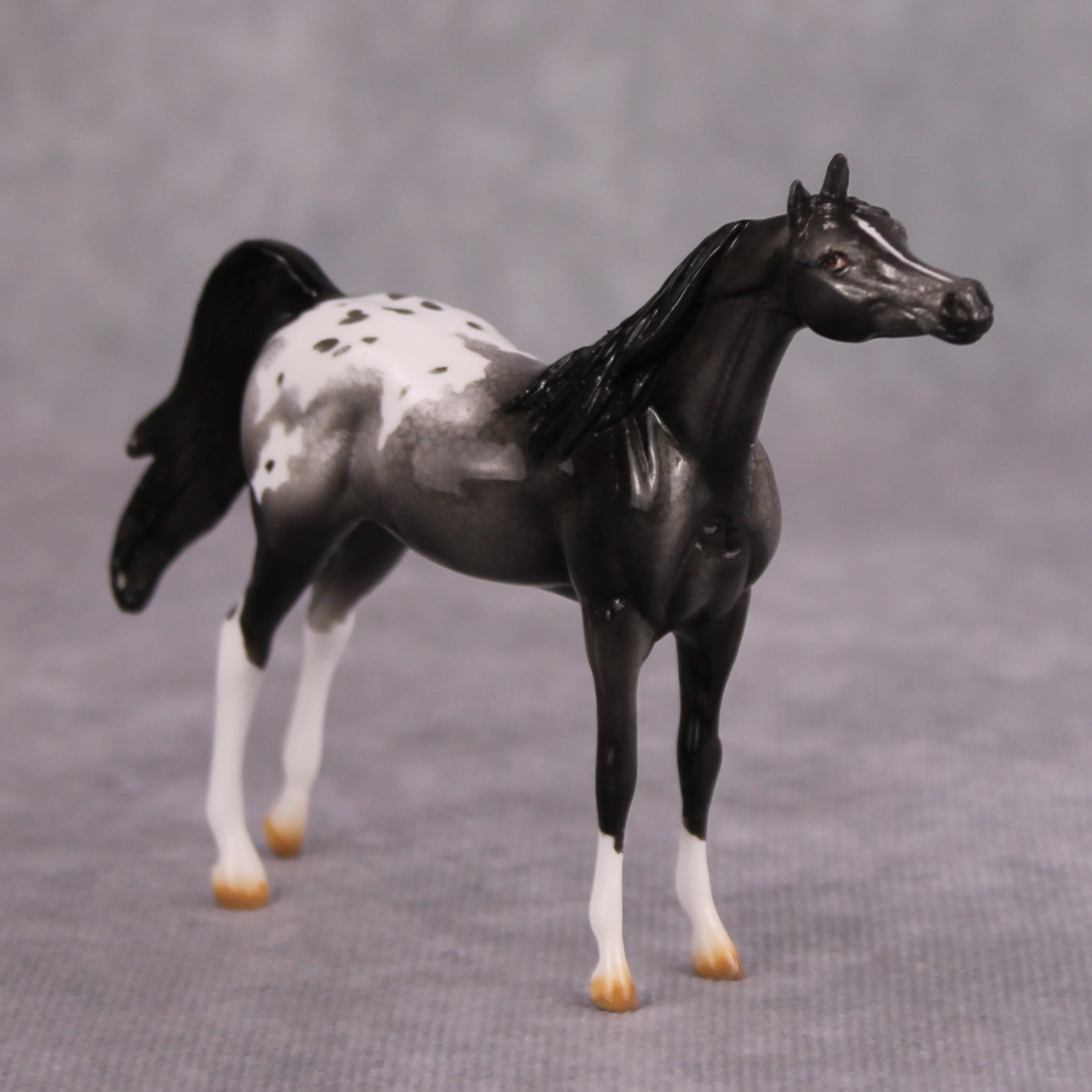 Cassis OOAK Glossy Black Roan Appaloosa Arabian Chip By Dawn Quick MM24