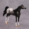 PREVIEW LISTING ONLY Cassis OOAK Glossy Black Roan Appaloosa Arabian Chip By Dawn Quick MM24