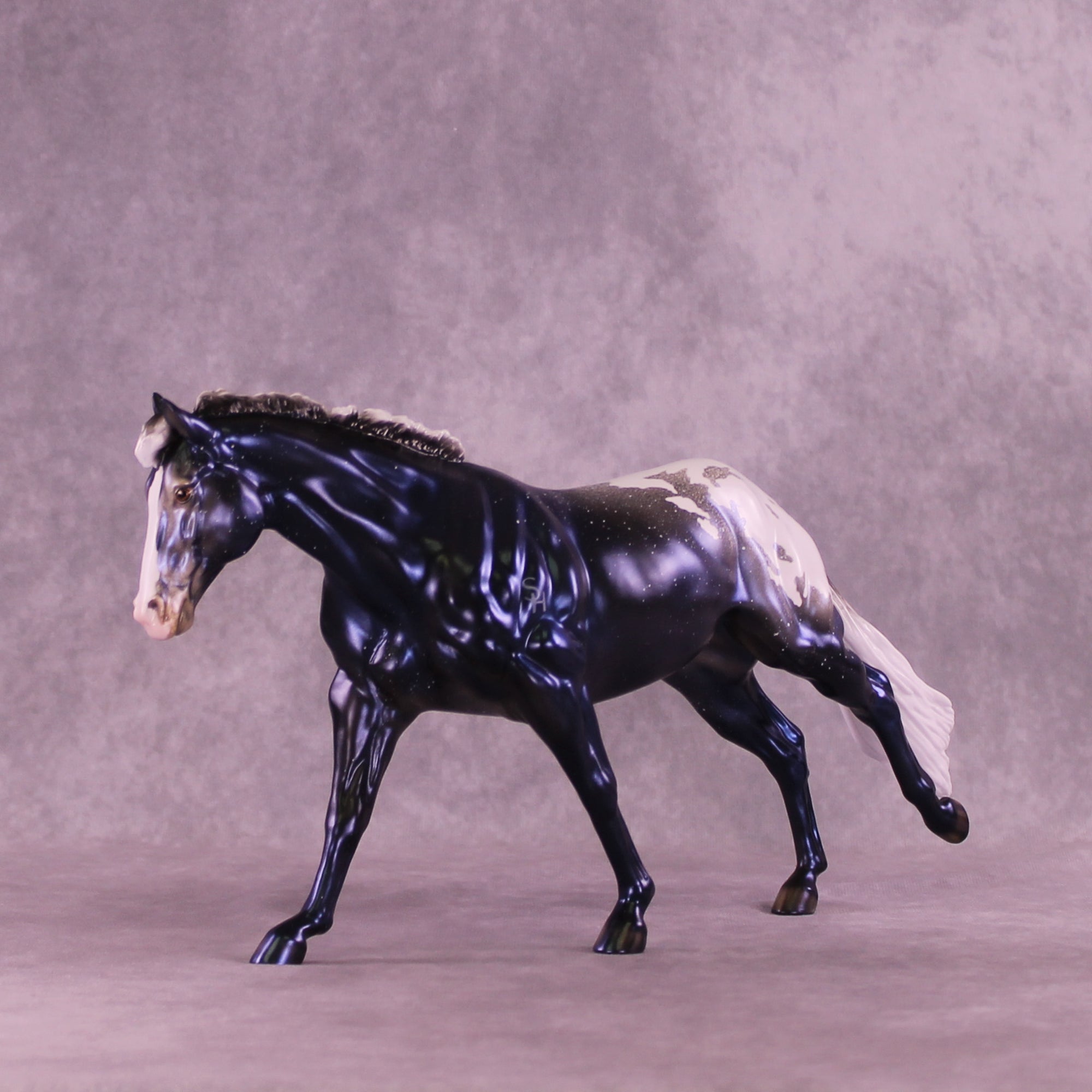 Sky by Night LE-20 FCM Remington by Ellen Robbins TS26