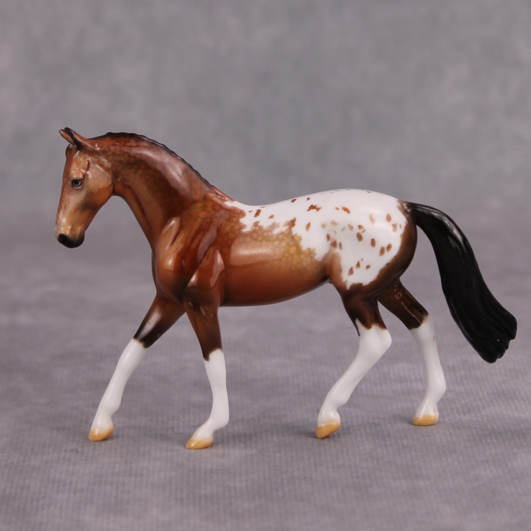 PREVIEW LISTING ONLY Brandy OOAK Glossy Bay Appaloosa Warmblood Chip By Dawn Quick MM24