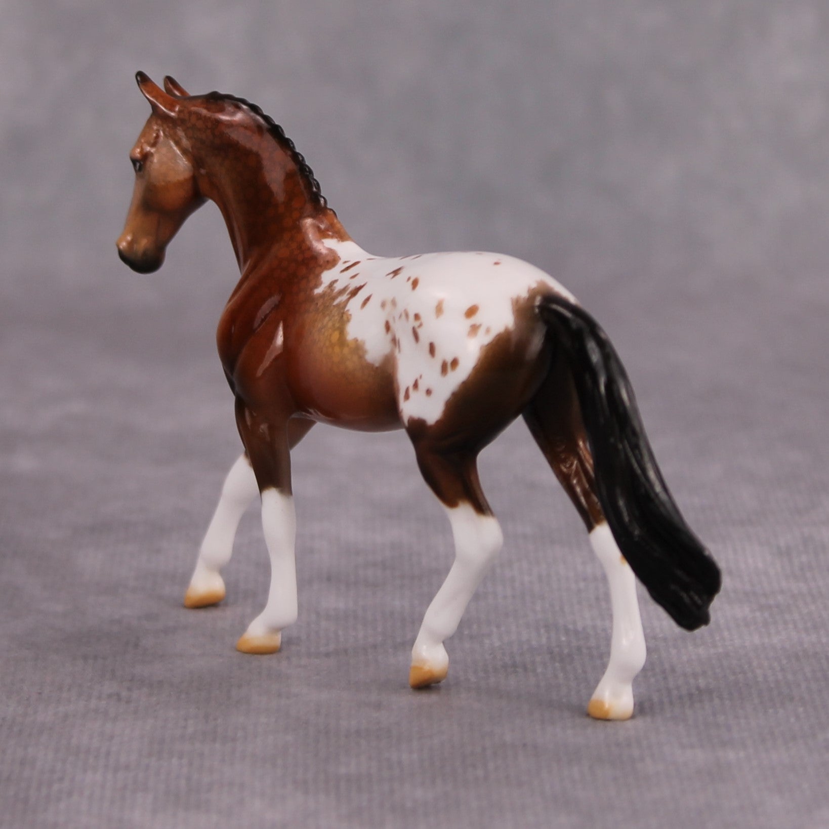 Brandy OOAK Glossy Bay Appaloosa Warmblood Chip By Dawn Quick MM24