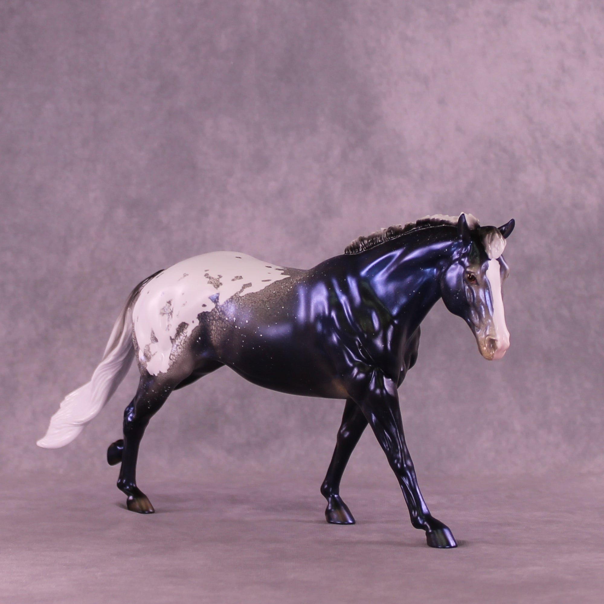 Sky by Night LE-20 FCM Remington by Ellen Robbins TS26