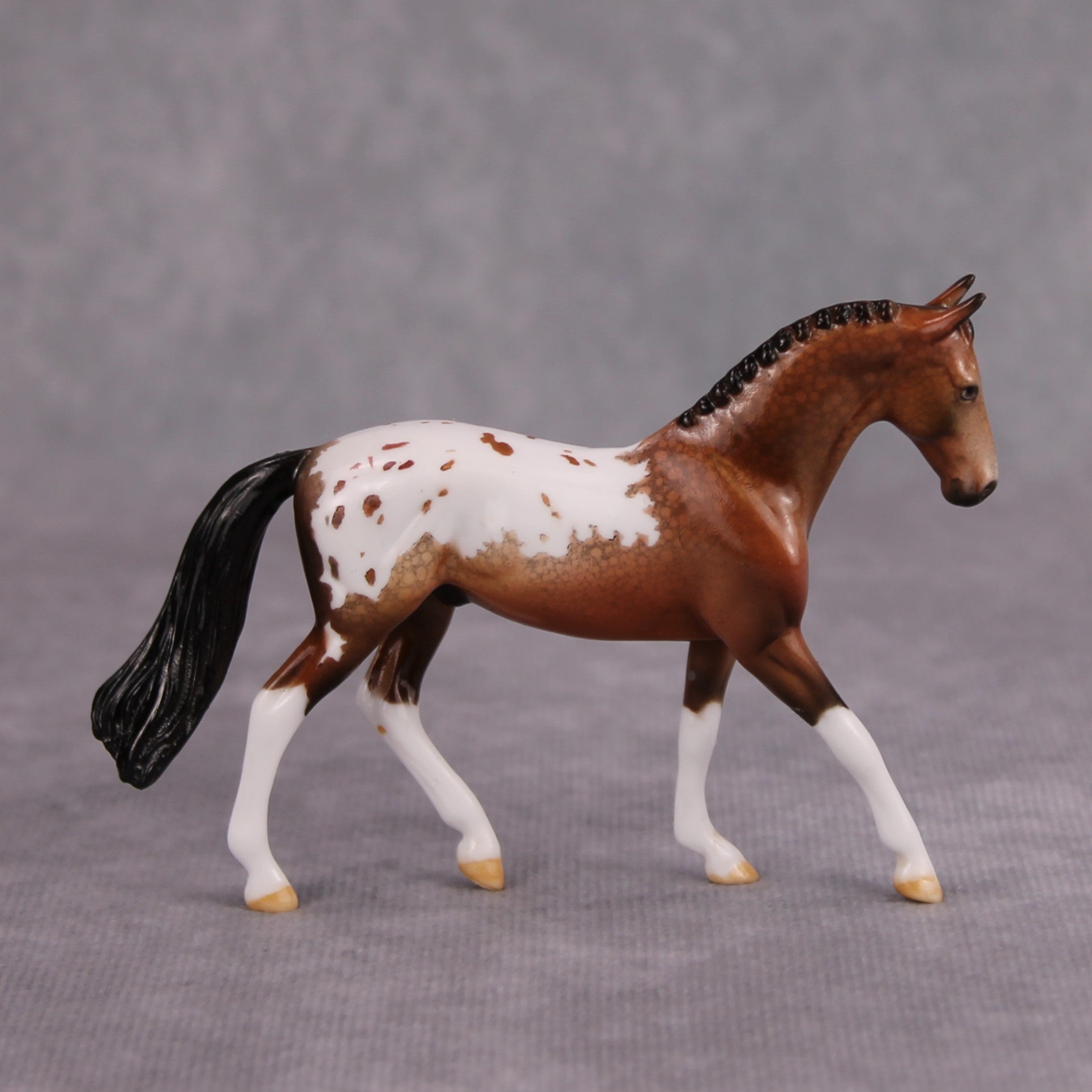 Brandy OOAK Glossy Bay Appaloosa Warmblood Chip By Dawn Quick MM24