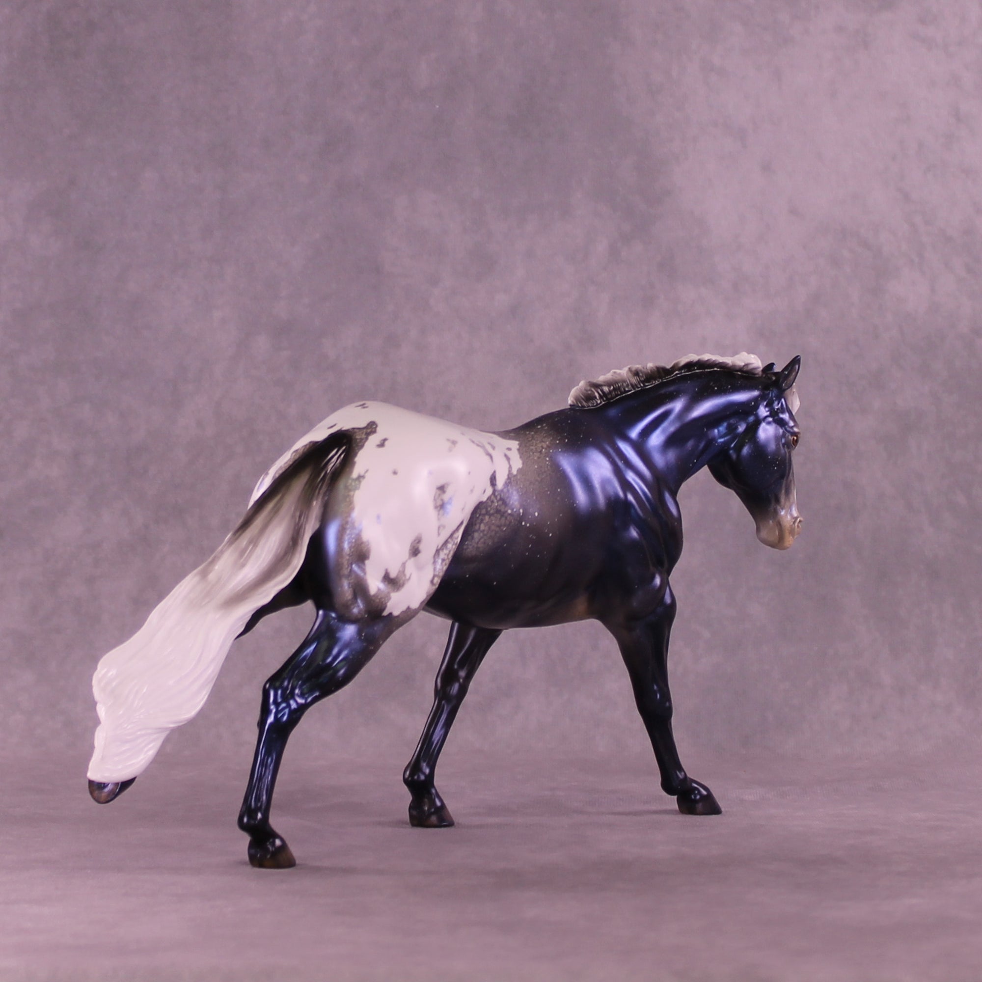 Sky by Night LE-20 FCM Remington by Ellen Robbins TS26