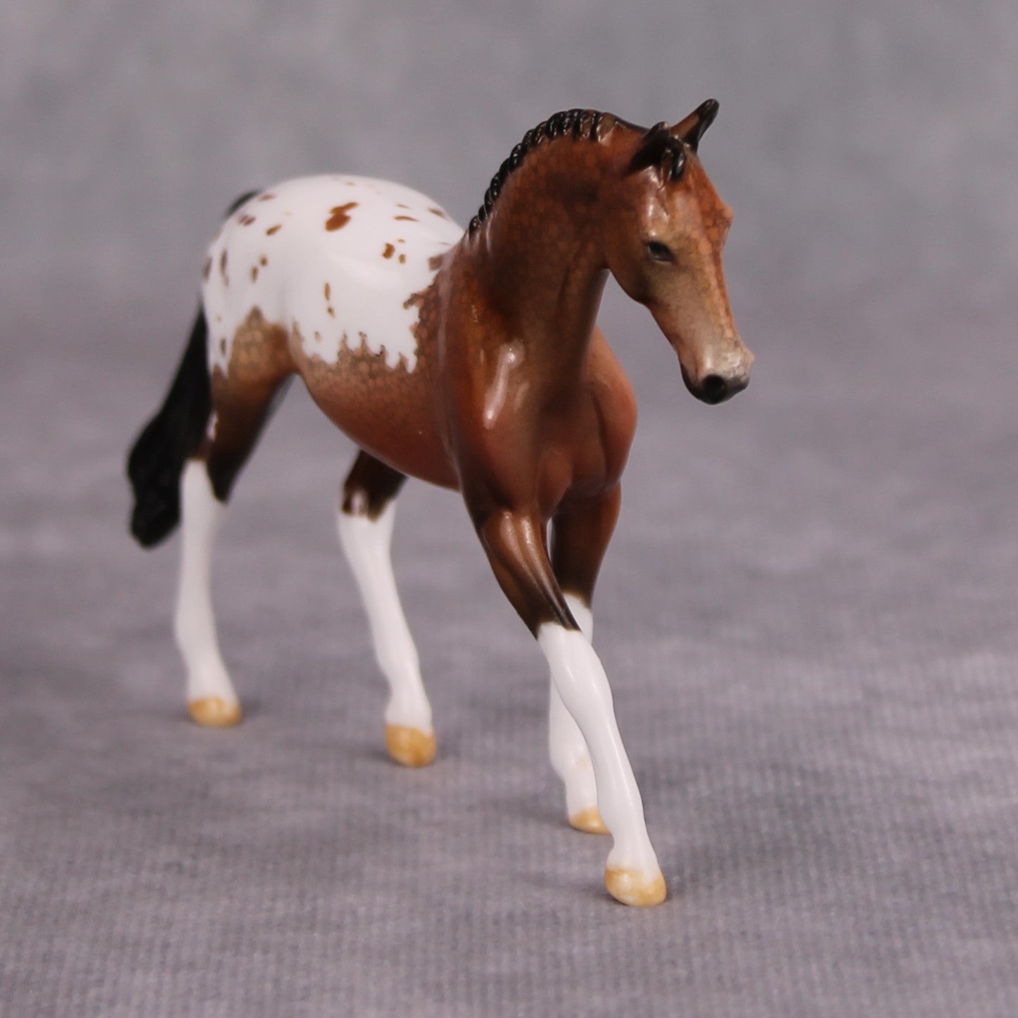 Brandy OOAK Glossy Bay Appaloosa Warmblood Chip By Dawn Quick MM24