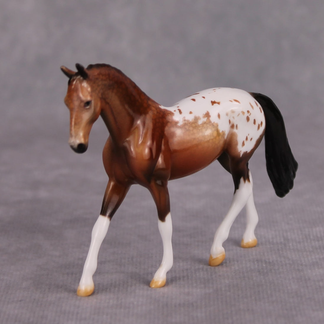 Brandy OOAK Glossy Bay Appaloosa Warmblood Chip By Dawn Quick MM24
