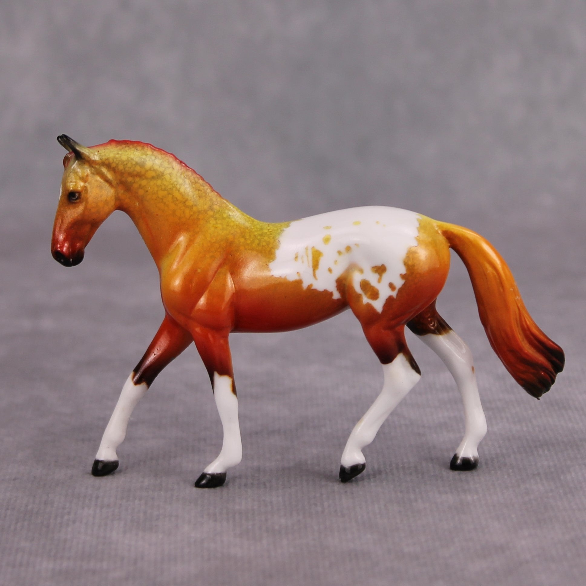 PREVIEW LISTING ONLY Hot to Trot OOAK Glossy Orange Red Appaloosa Warmblood Chip By Dawn Quick MM24