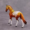 PREVIEW LISTING ONLY Hot to Trot OOAK Glossy Orange Red Appaloosa Warmblood Chip By Dawn Quick MM24