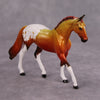 PREVIEW LISTING ONLY Hot to Trot OOAK Glossy Orange Red Appaloosa Warmblood Chip By Dawn Quick MM24