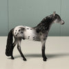 Poppy Seed Series LE-5 OOAK Black Appaloosa Chips By Dawn Quick and Julie Keim $99 Chip Sale