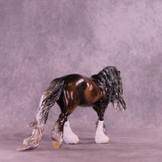 Celtic Sorcerer OOAK Irish Cob by Enrique Duarte DDOOAKs26