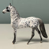 Pepper Series LE-5 OOAK Black Leopard Appaloosa Chips By Dawn Quick and Julie Keim $99 Chip Sale