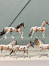 Himalayan Series LE-5 OOAK Buckskin Varnish Appaloosa Chips By Dawn Quick and Julie Keim $99 Chip Sale