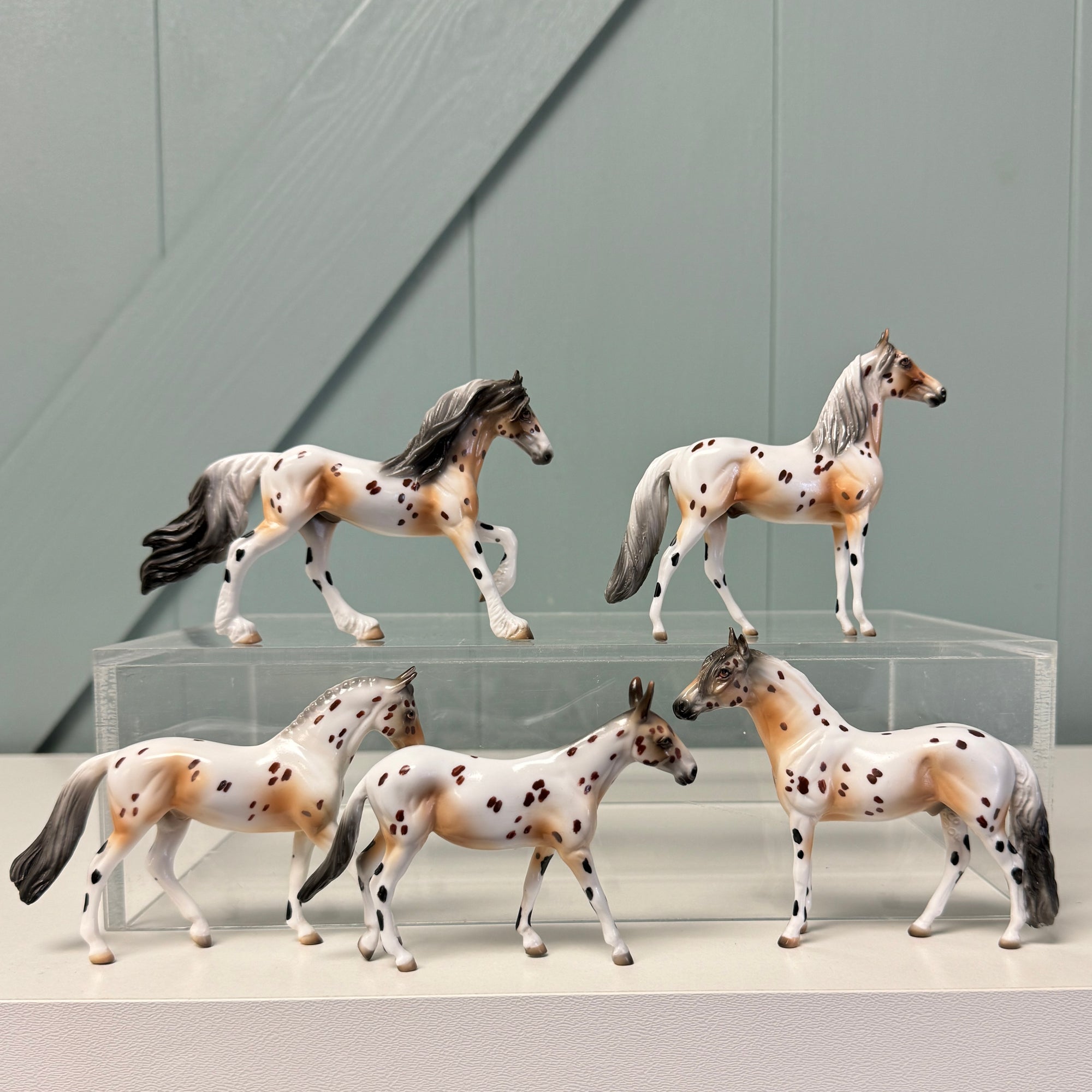 Himalayan Series LE-5 OOAK Buckskin Varnish Appaloosa Chips By Dawn Quick and Julie Keim $99 Chip Sale