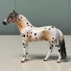 Himalayan Series LE-5 OOAK Buckskin Varnish Appaloosa Chips By Dawn Quick and Julie Keim $99 Chip Sale