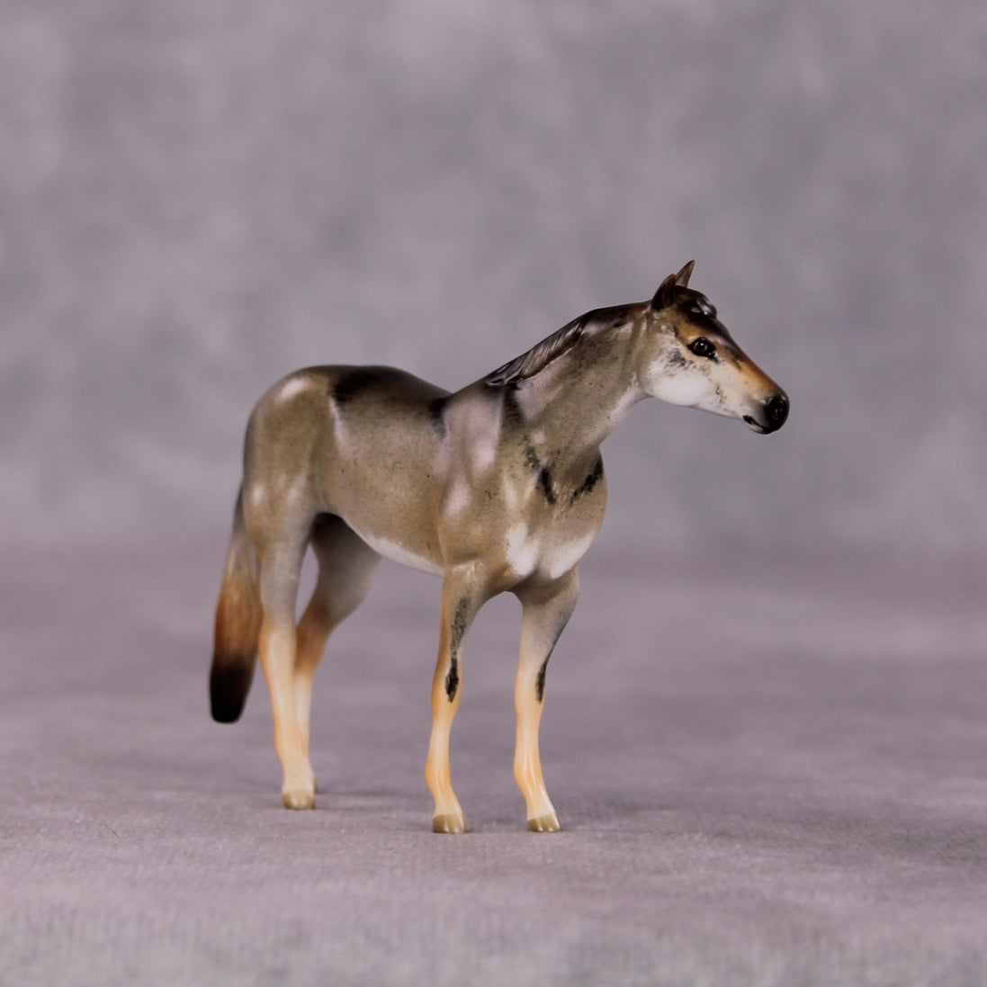 "Petroglyph" LE-3 Stock Chip by Jess Hamill - Menagerie Series