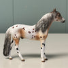 Himalayan Series LE-5 OOAK Buckskin Varnish Appaloosa Chips By Dawn Quick and Julie Keim $99 Chip Sale