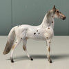 Cumin Series LE-5 OOAK Roan Leopard Appaloosa Chips By Dawn Quick and Julie Keim $99 Chip Sale