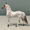 Cumin Series LE-5 OOAK Roan Leopard Appaloosa Chips By Dawn Quick and Julie Keim $99 Chip Sale