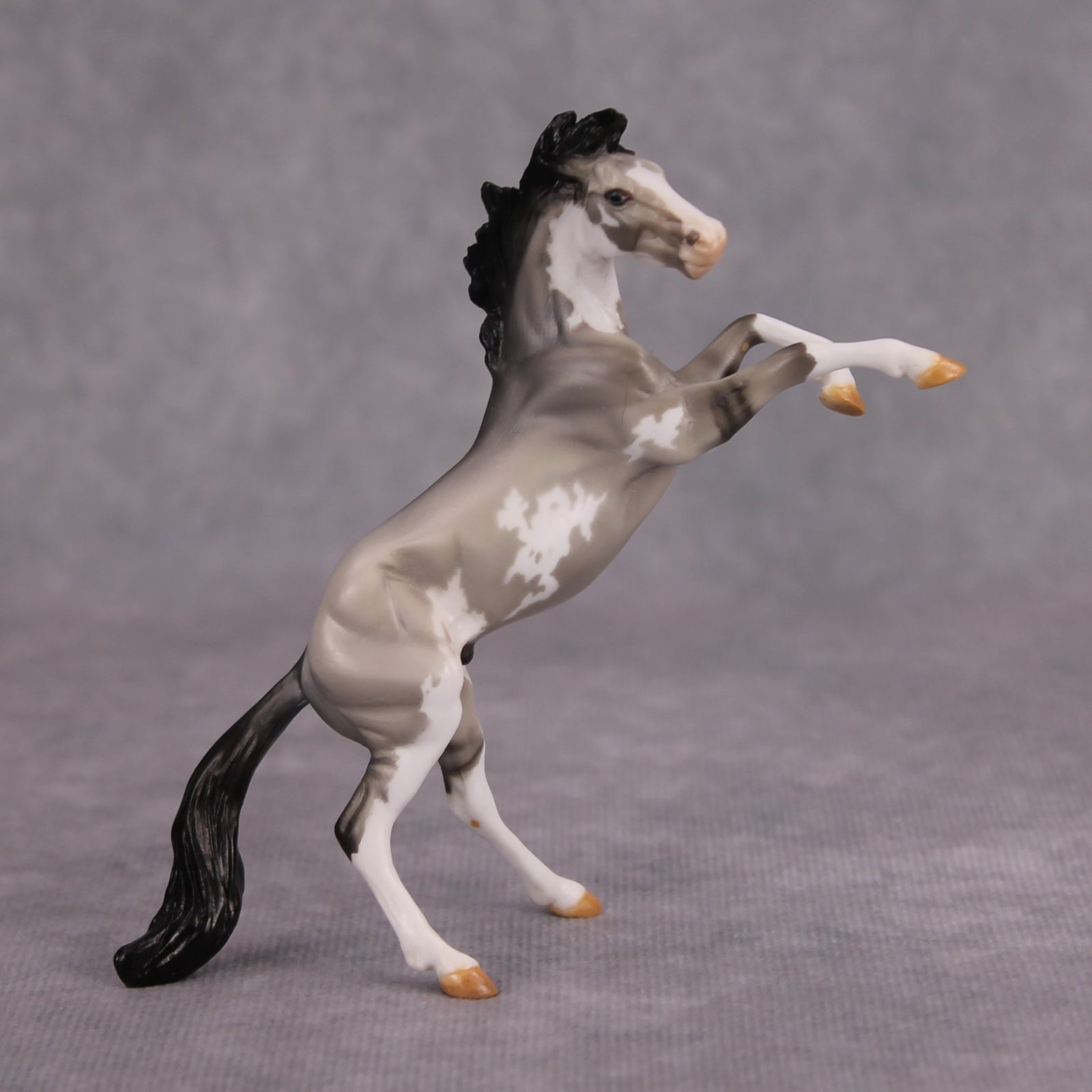 Jim OOAK Grulla Pinto Rearing Chip By Dawn Quick MM24