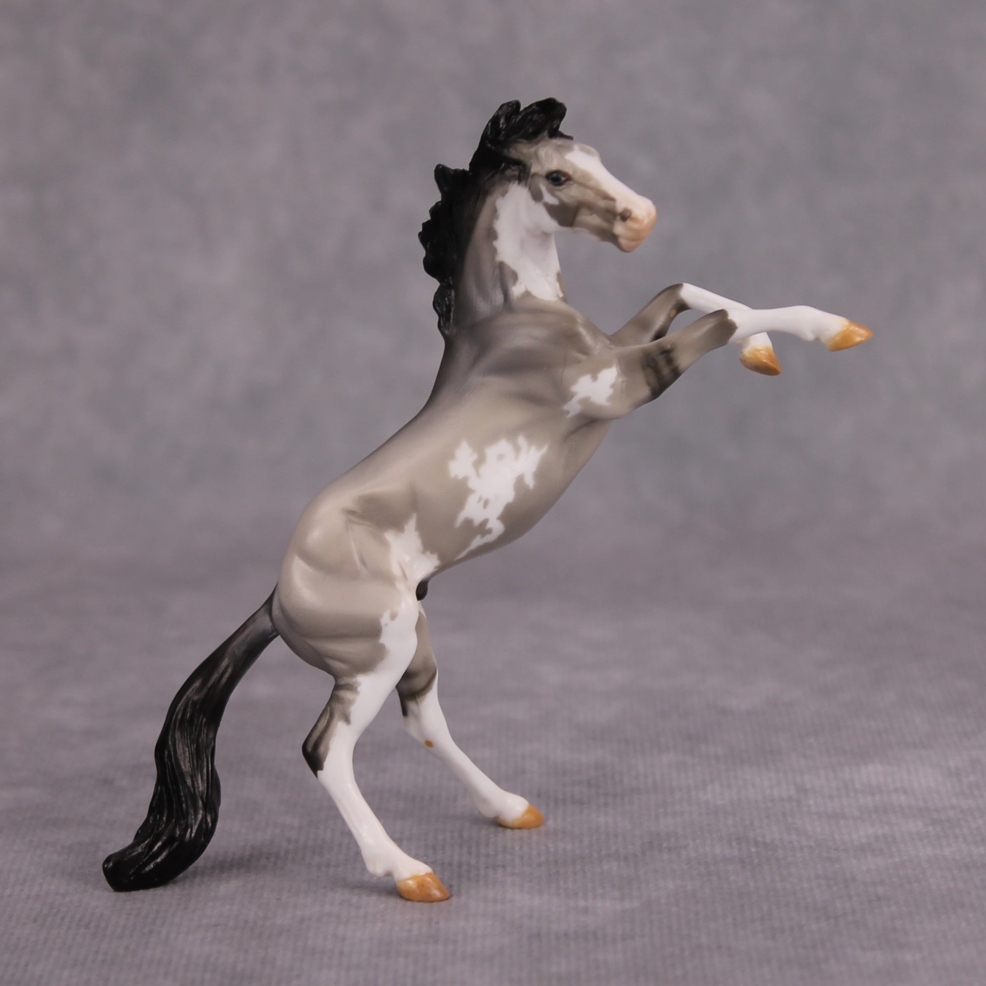 Jim OOAK Grulla Pinto Rearing Chip By Dawn Quick MM24