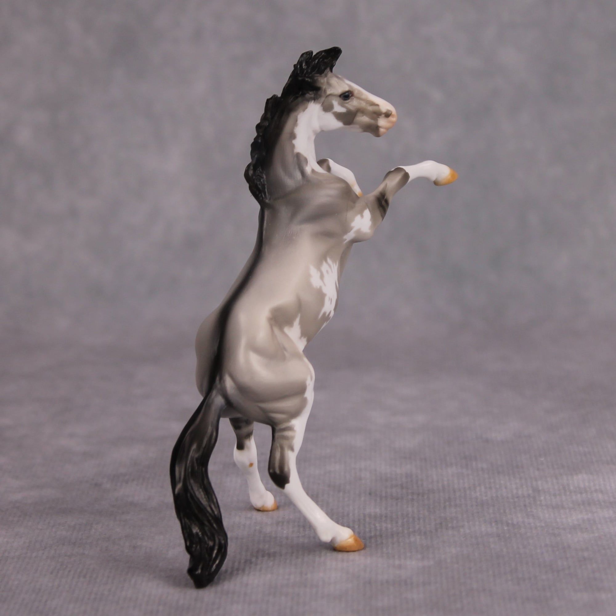 Jim OOAK Grulla Pinto Rearing Chip By Dawn Quick MM24