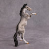 PREVIEW LISTING ONLY Jim OOAK Grulla Pinto Rearing Chip By Dawn Quick MM24