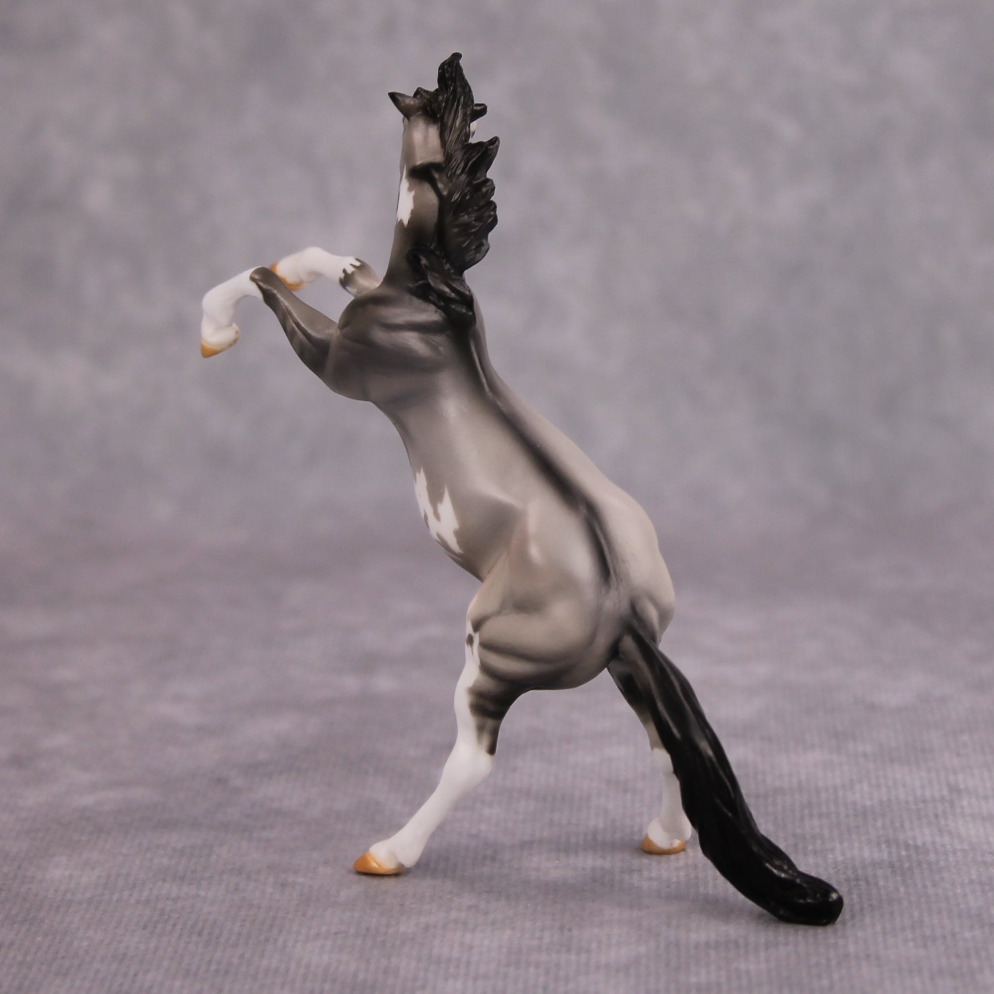 Jim OOAK Grulla Pinto Rearing Chip By Dawn Quick MM24