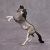 PREVIEW LISTING ONLY Jim OOAK Grulla Pinto Rearing Chip By Dawn Quick MM24